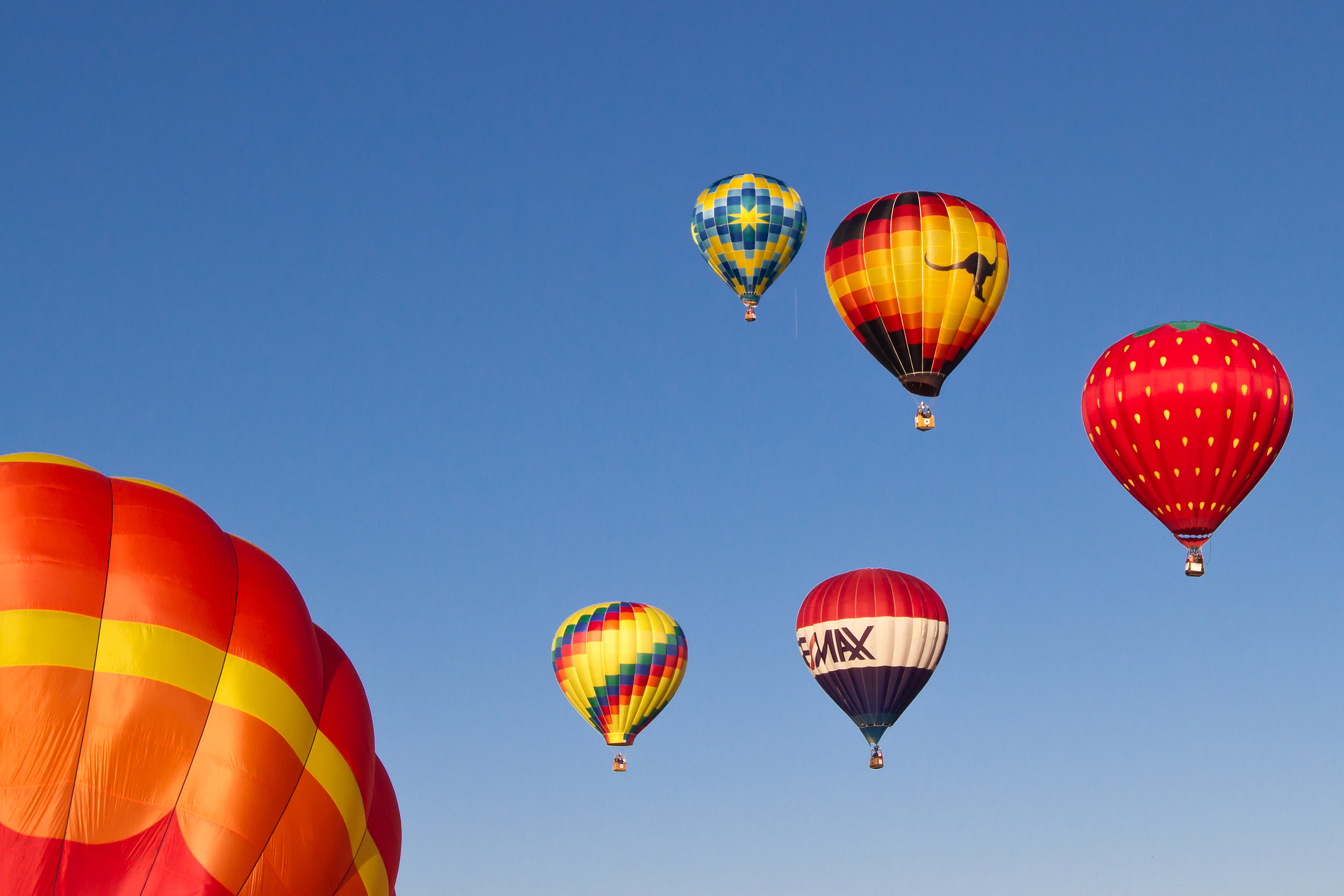 Adirondack Balloon Festival