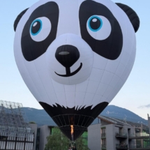2026 Johnny Panda pilot Johnny Hodge
