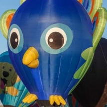 2026 Pico The Baby Peacock
