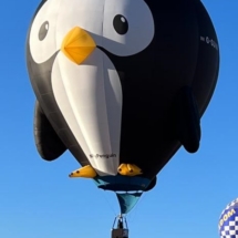 2026 Puddles The Penguin