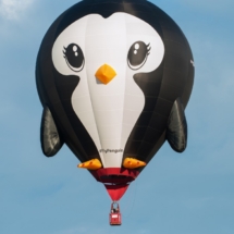 2026- Splash The Penguin
