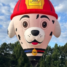 Tiny the fire dog 2